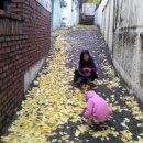 순리대로 이미지