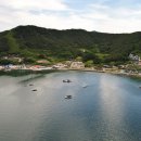 숲속의 둥지 이미지