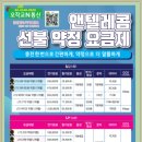 N-통신
