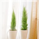 우리아울렛 이미지