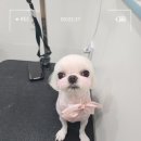 아리미용실