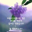 어느덧 마음과 함께 20년. ㅎ 이미지