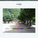 회정초등학교 | 양주회정초등학교 - 고무 기둥 경계 설치