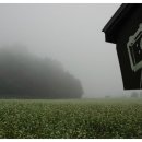 이동우체국 이미지