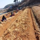 신선유통 이미지