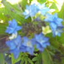 서귀포통나무집 이미지