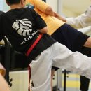 경희대 태권도 이미지