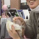[다이어트일기] 한방다이어트 감로수 디톡스 다이어트 3일차 후기 내돈내산