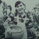 바다가 육지라면 / 노래: 고 조미미. 간암 투병중 별세 .삼가 고인에 명복을 빕니다. 이미지