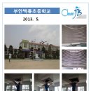 백룡초등학교 이미지