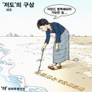 양털뉴스와 시사만화 이미지