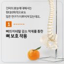 최한의원 이미지