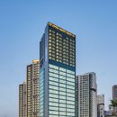 더황금부동산중개사무소 이미지