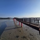 신안갯벌박물관 이미지