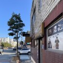 [영월여행/겨울]내돈내산:청록다방 포토존 추천 (대추차,아이스커피)