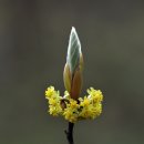 촛불잔치 이미지