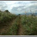 양동목장 이미지