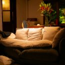 슬로우 라이프 이미지