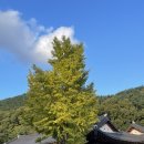 양동문고 이미지