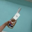 슬로타이드