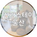 울산 남구 삼산동 숙소 추천, 신라스테이 울산 내돈내산 숙박 후기