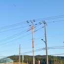 리버뷰캠핑장 이미지