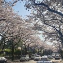 제주도 북쪽 가볼만한곳 7곳