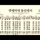 찬송가 444장 겟세마네 동산에서~ 이미지