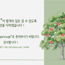 [가톨릭대/가대약대/카톨릭대/카대약대]🌳가톨릭대 약학대학 자소서&면접 스터디 🍃가로수길🍃을 걸어갈 멘티 모집합니다!🌳 이미지