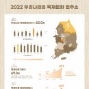 목재야 이미지