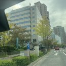 트윈스민 이미지