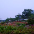 감나무골 식당 민박 이미지