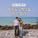 직장인 제주 여행 2박3일 코스 간단정리 (총경비 정리)