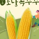 초당농장 이미지