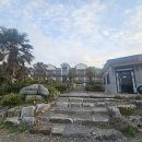 야자수 | 전라도 펜션 가볼 만한 곳 야자수 성지 무안톱관광펜션 방문 후기.🌴