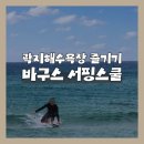 동작구재활용센타 | 제주 애월 '바구스서핑스쿨 애월점', 곽지해수욕장 물놀이 왕초보의 서핑 강습 추천 후기