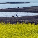 남해풍경 이미지