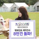 펫이좋아 이미지