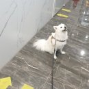 동물병원 오월의산책 이미지