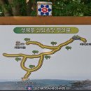 세동목장 Daum카페