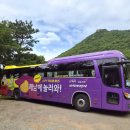 남도마당 - 관악구 난우길 22 | 광주 금호고속 남도한바퀴 뚜벅이 국내 버스 여행 해남시티투어 후기