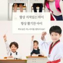 키즈 블랙벨트 태권도장 이미지