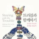도나 이미지