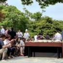 Sun Tree(썬 트리) 이미지