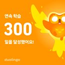 파라파라나 춰야겠다