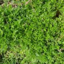 보리원농장 이미지