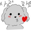 도기온 이미지