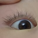 우진여인숙 | 경기 안양) 유지력 오래가는 무쌍 속눈썹 펌 맛집: 샵베베 👁️