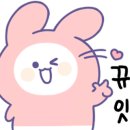 메가후르츠수원