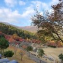 하동 이미지